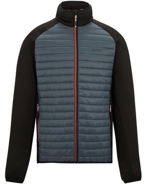Regatta Vestes techniques Clumber - Noir