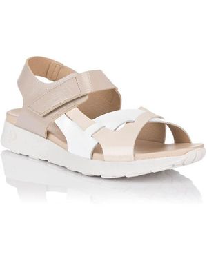 Pitillos Sandales 10554 - Rose