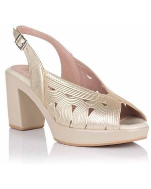 Pitillos Chaussures escarpins 20122 - Rose