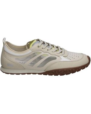 D'ANGELA Baskets basses 115253 - Gris