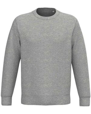 NATIVE SPIRIT Sweat-shirt PC7879 - Gris