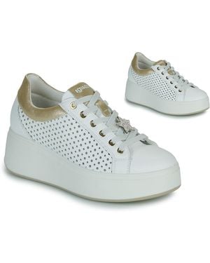 Igi&co Sneakers Basse D.Ally - Blu