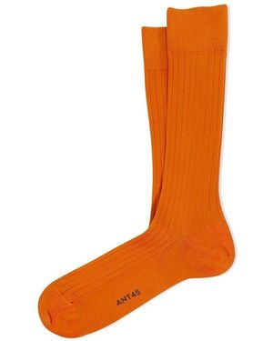 ANT45 Chaussettes Filos-Or - Orange