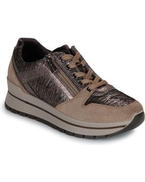 Igi&co Sneaker D.Anika - Braun