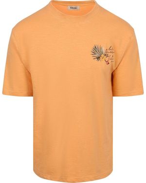 Shiwi T-shirt T-shirt Finn Orange