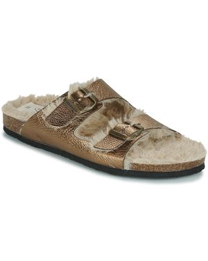Plakton Pantofole Beta - Marrone