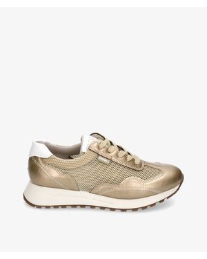 D'ANGELA Baskets 28000 - Neutre