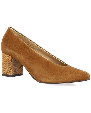 So Send Chaussures escarpins Escarpins cuir velours - Marron