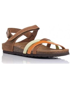 Interbios Sandales 7133 - Marron