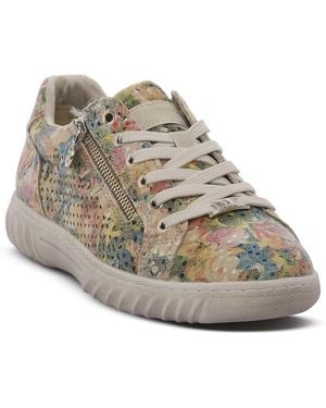 Westland Baskets basses BEIGE - Gris