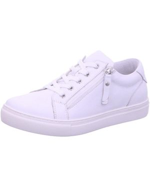 Gemini Baskets Basses - Violet