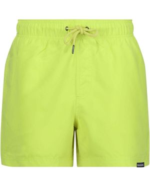 Regatta Short Mawson Ii - Vert