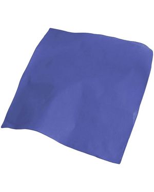 Atlantis Echarpe Goal - Bleu