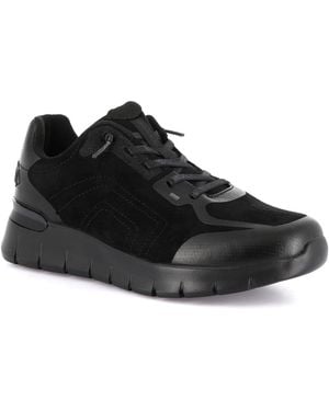 Grünland Baskets Basses Dsg-Sc6348 - Noir