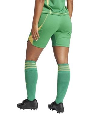 adidas Short Tiro 24 Pro - Vert