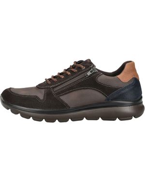 Imac Baskets Derbies - Marron