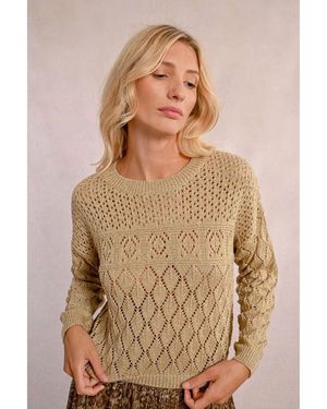 Molly Bracken Pull LA1717DP-GOLD - Marron