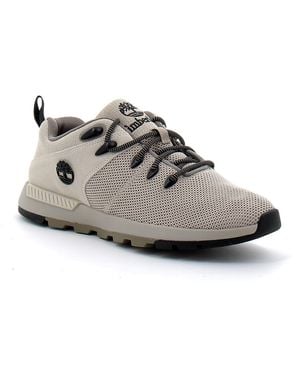 Timberland Baskets Baskets basses à lacets pour Sprint Trekker - Gris