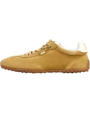 Xti Baskets basses Basket Basse Cuir - Marron