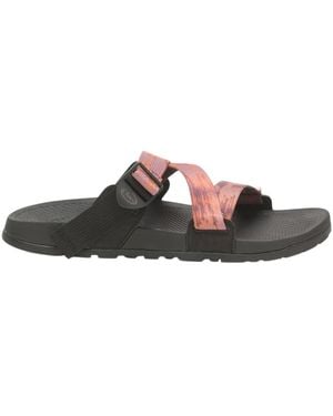 Chaco Sandales Lowdown - Marron