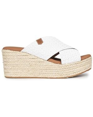 POPA Baskets Cb33202-001 - Blanc