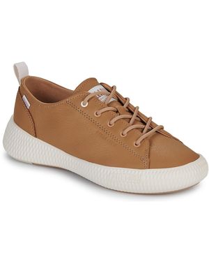 Palladium Sneakers Basse Pallanova Lo Lth - Marrone