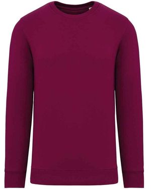 NATIVE SPIRIT Sweat-shirt PC5129 - Violet