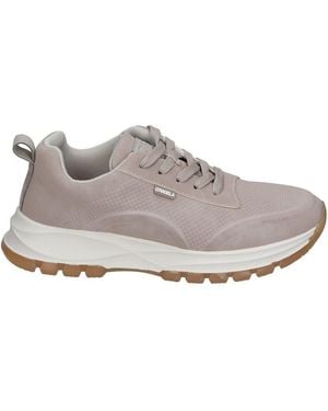 D'ANGELA Baskets basses 110142 - Gris