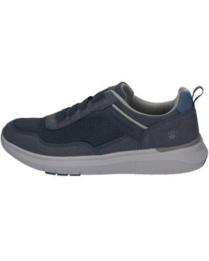 Lumberjack Baskets Basses - Bleu