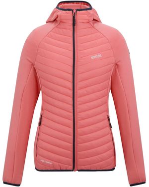 Regatta Vestes techniques Anderson - Rose