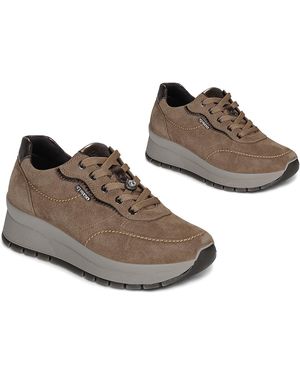 Igi&co Sneaker D.Anastasia - Braun