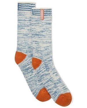 SealSkinz Socquettes Cordwell Chaussettes - Bleu