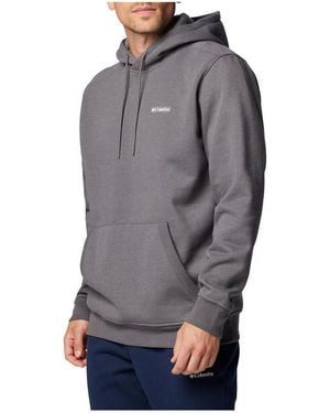 Columbia Pull Meridian Creek Hoodie - Gris