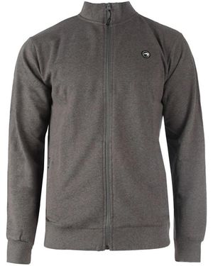 Castore Sweatshirts SUDADERA ANUE FMS - Gris