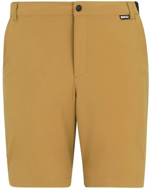 Regatta Short RG12647 - Neutre