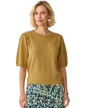 Daxon Pull Pull Maille Encolure Ronde - Vert