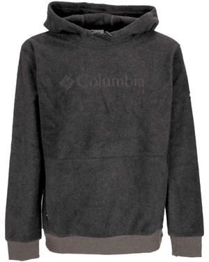 Columbia Sweatshirts à capuche Steens Mountain Hoodie Charcoal - Gris