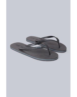 Animal Tongs Oceana - Gris