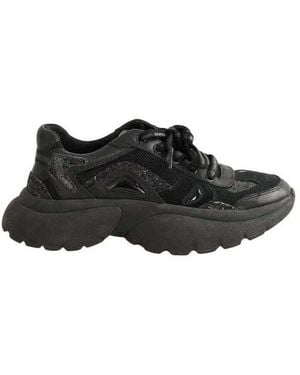 Maje Baskets basses Baskets noires