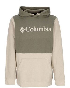Columbia Sweatshirts à capuche Trek Colorblock Hoodie Ancient Fossil - Gris
