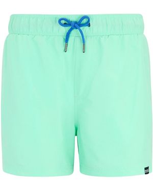 Regatta Short Mawson Ii - Vert