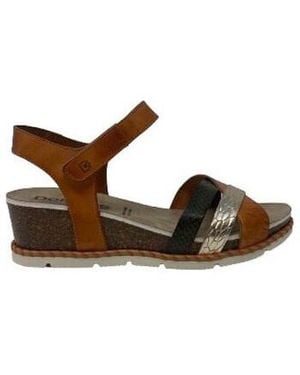 Dorking Sandales CHAUSSURES D9320 - Marron