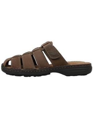 Limma Sandales Tintin - Marron