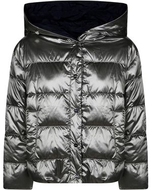 CUBE MAX MARA Nico Imbottito Corto - Gray