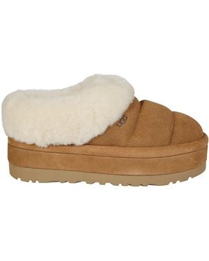 UGG W Tazzlita - Brown