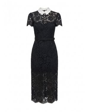 Self-Portrait Lace Contrast Collar Midi Dress - Black