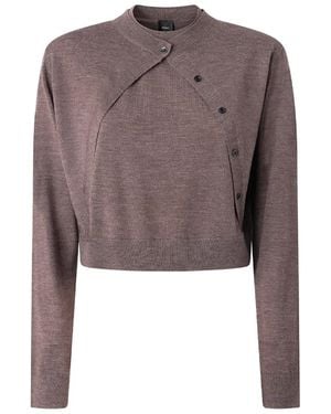 Pinko Tallin Cardigan - Brown