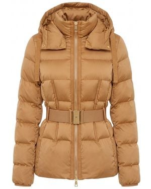 Elisabetta Franchi Padded Jacket - Brown