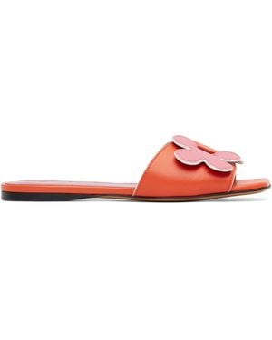 Marni Sandales Rose Et En Cuir À Appliqués De Marguerite - Noir