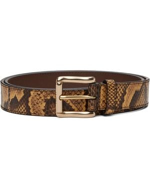 Amiri Python Square Belt - Brown